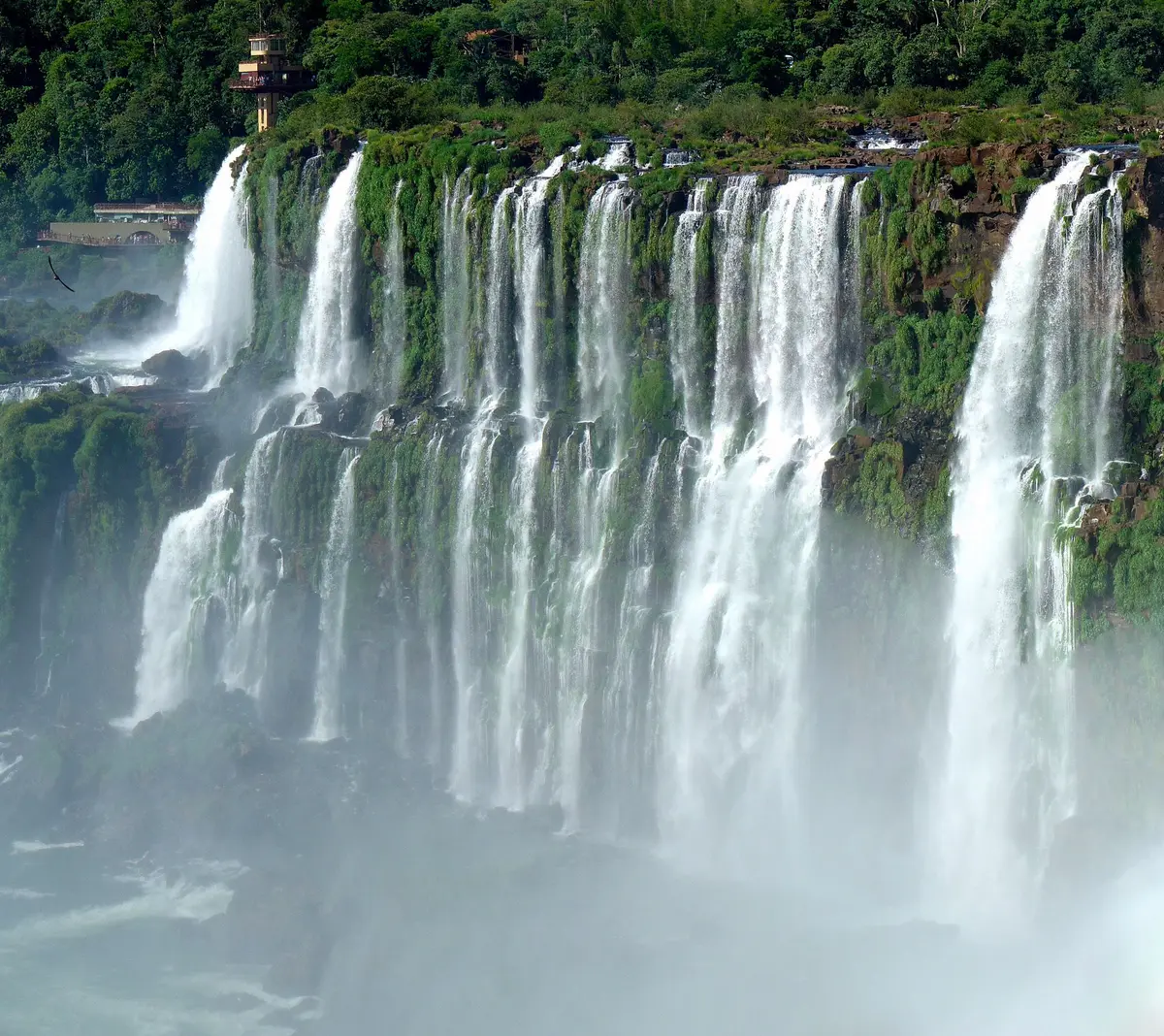 Quedas-d'água das Cataratas do Iguaçu entre a mata verde